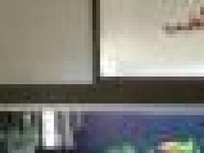 图 森鑫淼水族服务公司,鱼缸水族箱清洗 天津宠物服务