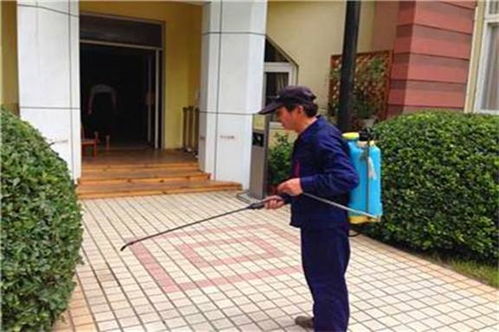 深圳清洁公司 深圳清洁公司 白莲和清洁 优质商家