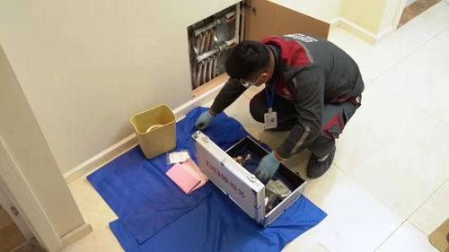 日日顺以定制化场景方案赋能用户体验,让健康品质生活成为冬日主旋律