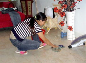 专业清洁服务，打造洁净舒适的家居环境